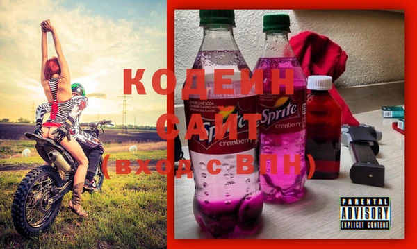 хмурый Бородино