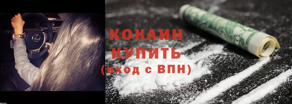 хмурый Бородино