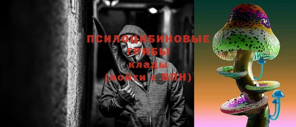 хмурый Бородино