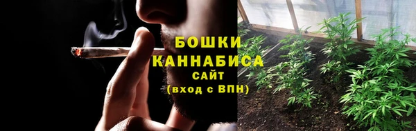 хмурый Бородино