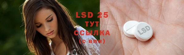 хмурый Бородино