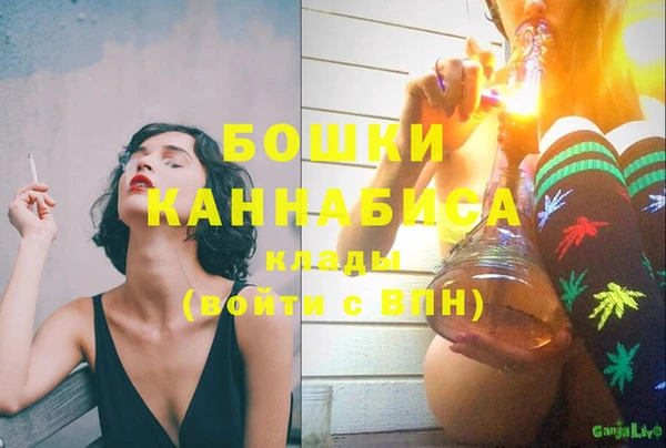 хмурый Бородино
