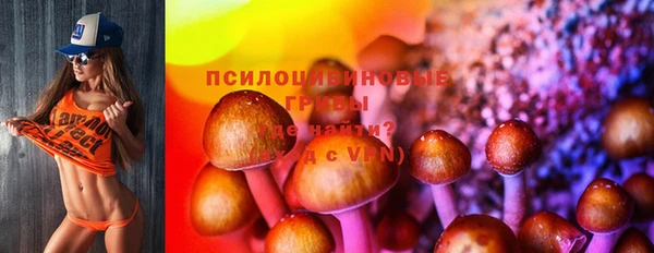 хмурый Бородино